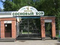 Внимание Зимняя акция  в санатории «Сосновый бор»!