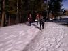 img_20160313_112918_t1.jpg