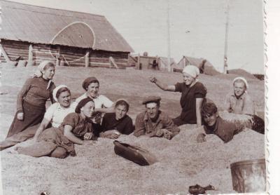 Студенты 2 курса на уборке зерна. Сентябрь 1955 г.
